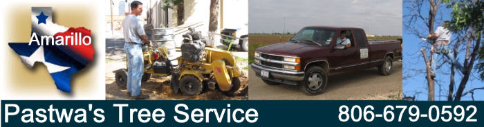 Amarillo TX tree service